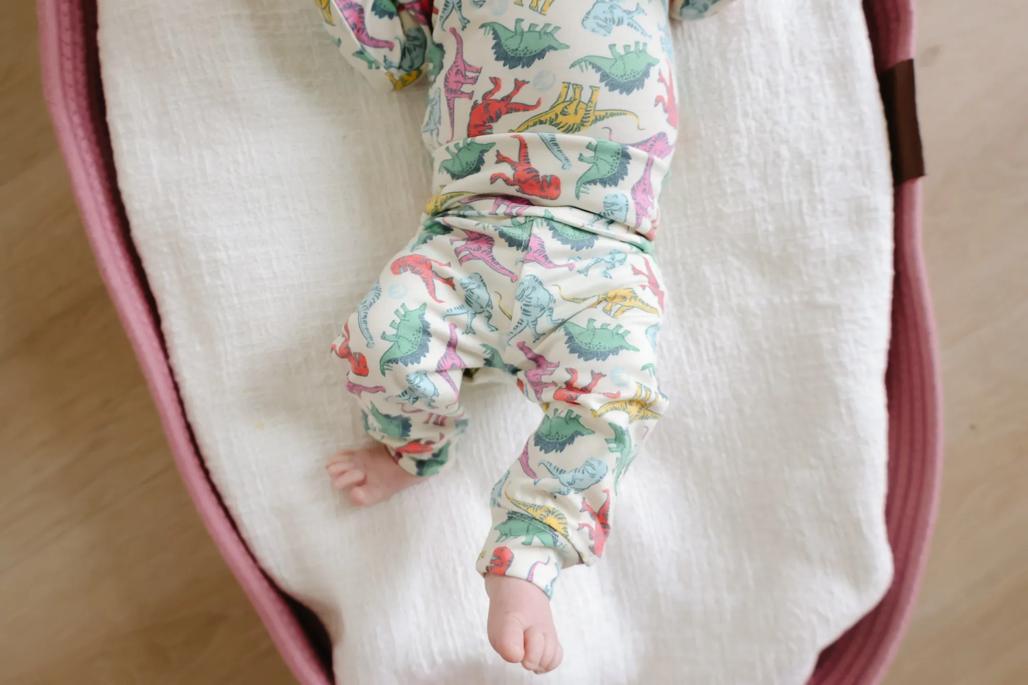 Baby Pants - Dinosaurs of Jurassic Park