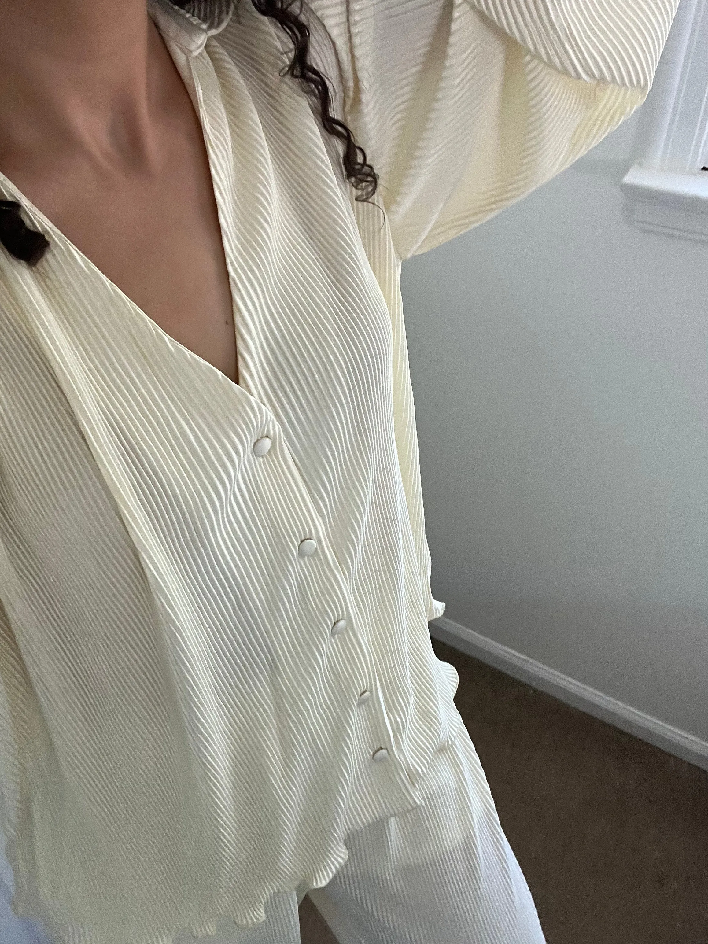 Pleated Shirt and Wide Leg Pants