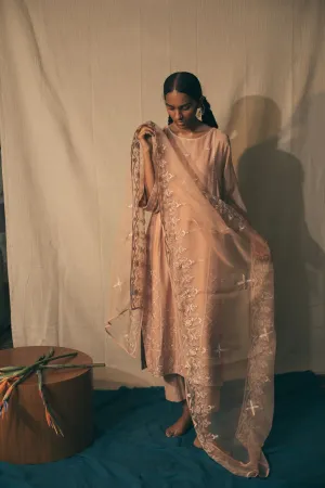 Sarang Kaur Roncy Salmon on Salmon Stole Organza silk Ektaar SK01306