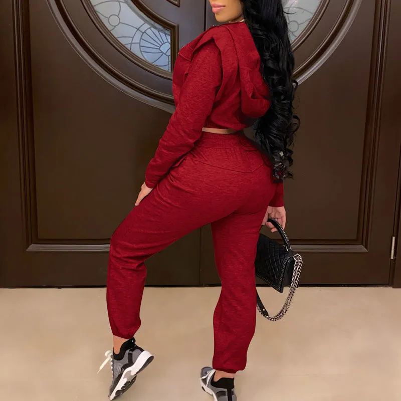 Solid Pocket Zipper Design Long Sleeve Top & Pants Set