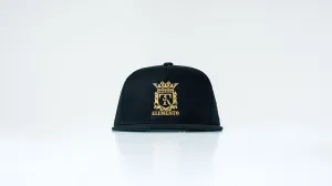 T3R Logo Snapback