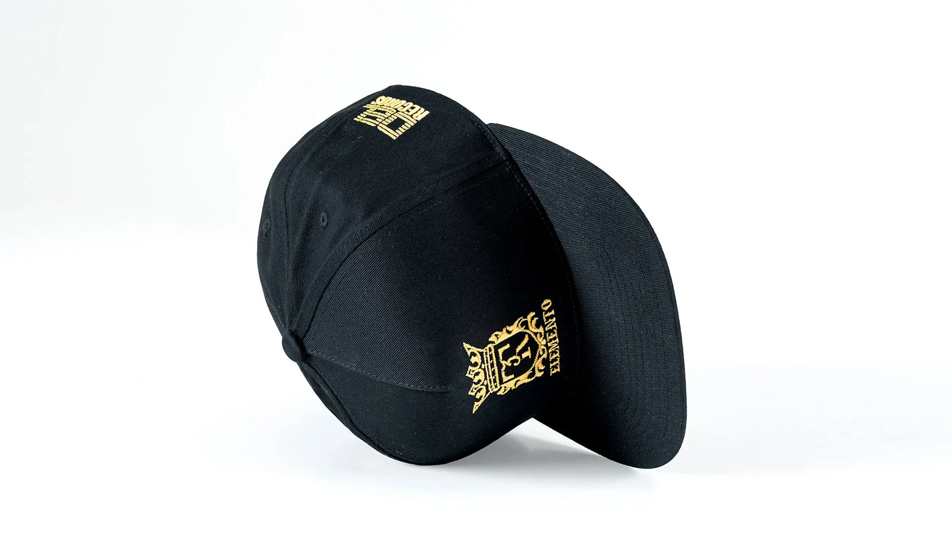 T3R Logo Snapback